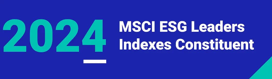 MSCI ESG 指數